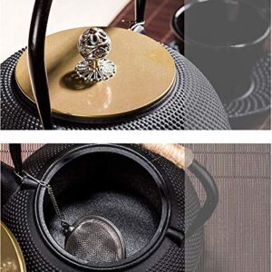 tetsubin Cast iron tea kettle japanese workshop teapot hobnail pattern with Stainless Steel Infuser【20 oz black】