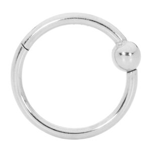 365 Sleepers 316L Surgical Steel 20G 18G 16G 14G 6mm-12mm BCR Ball Closure Septum Hinged Segment Nose Lip Ring Hoop Unisex Earrings Body Piercing Jewelry