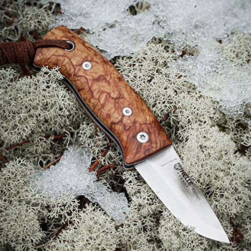 HELLE Knives - Kletten - Foldable Knife W/Clip - Birch Wood Handle - H3LS Stainless Steel - Made in Norway