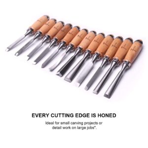 ATOPLEE 12pcs Wood Carving Chisel Set for Woodworking, Professional Wood Gouge Tools with Box and Roll Up Bags for Carpenter Craftsman Gift in Most Wood Carving Project