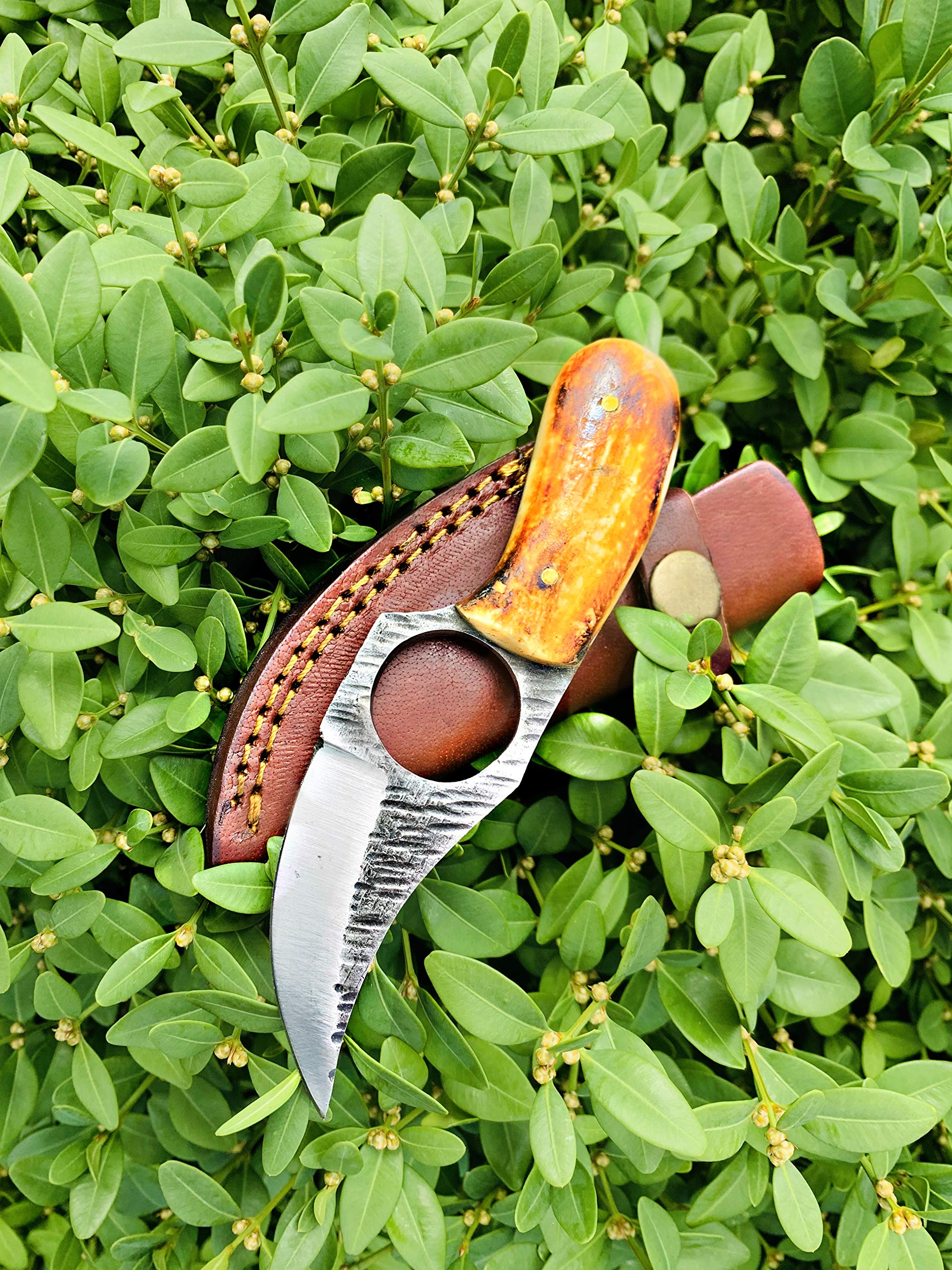 Titan International Knives Skinning Knife | Small Hunting Knife Fixed Blade | Burnt Bone Handle Knife Leather Sheath | 3 Inch Blade Outdoors Camping Gear