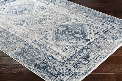 Livabliss Desta Vintage Oriental Area Rug,7'10" x 10'2",Blue/White