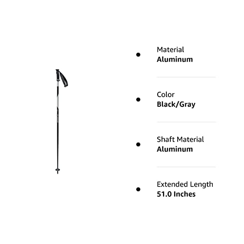 Swix Winter Sports Recreation Competition Downhill Alpine Skiing Groomed Trail Techlite Ms Aluminum Poles