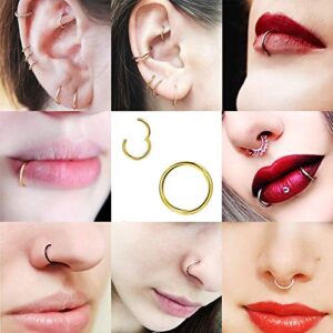 Afftiny 16G Gold Small Nose Rings 7MM Hoop Earrings Hinged Clicker Hypoallergenic Stainless Steel Cartilage Piercing Ring