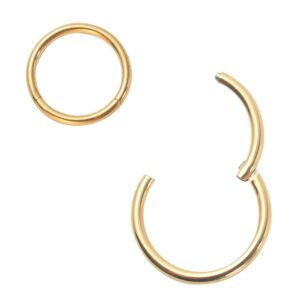 oreillestar nose rings septum hoops hypoallergenic 316l surgical steel small round clicker hinged earrings gold 16gauge 6mm for helix cartilage daith snug tragus lobe