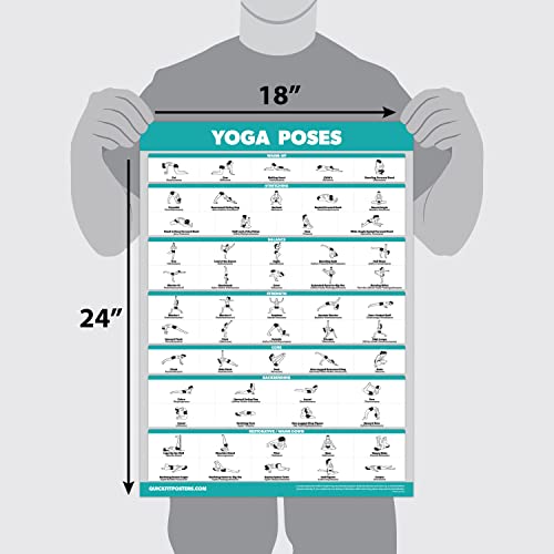 QuickFit 2 Pack - Yoga Poses Poster Set - Beginner Yoga Position Charts - Volume 1 & 2 (LAMINATED, 18" x 24")