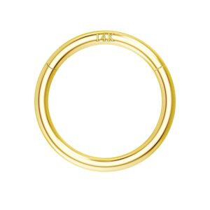 COCHARM 16G 14K Solid Gold Septum Nose Rings Yellow Gold Middle Helix Daith Earring Hoop 8mm Hinged Nose Hoop Nose Rings Yellow Gold Daity Piercing Jewelry