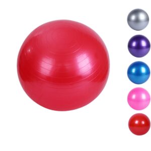 wetest upgraded thickening total body balance ball kit - includes anti-burst stability exercise yoga ball, workout program - 26 inch red