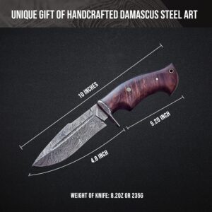 BIGCAT ROAR Handmade Damascus Hunting Knife - Bushcraft Fixed Blade Hunting Knife with Sheath and Walnut Wood Handle - 10″ EDC Skinning Knife - Beast Hunter