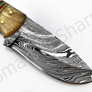 Smart & Sharp Custom Handmade Damascus Steel Hunting Knife/Skinning Knife AA-17216, 17217, 17218, 17219, 17220 and 17221 (Multi Color Resin)