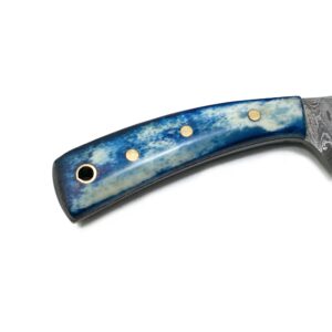 Titan International Knives 7.2" Damascus Hunting Skinning Knife 1095 High Carbon Steel Fixed Blade and Blue Dyed Bone Handle with Leather Sheath Perfect for Survival Camping and Outdoor Activities