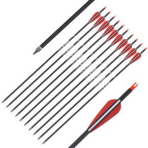 28 inch Carbon Arrow Hunting Arrows with 100 Grain Removable Tips for Archery Compound & Recurve & Traditional Bow Practice Shooting (Pack of 12)