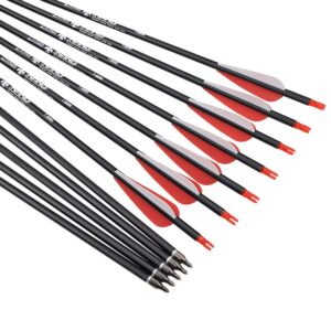 28 inch Carbon Arrow Hunting Arrows with 100 Grain Removable Tips for Archery Compound & Recurve & Traditional Bow Practice Shooting (Pack of 12)