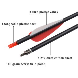 28 inch Carbon Arrow Hunting Arrows with 100 Grain Removable Tips for Archery Compound & Recurve & Traditional Bow Practice Shooting (Pack of 12)