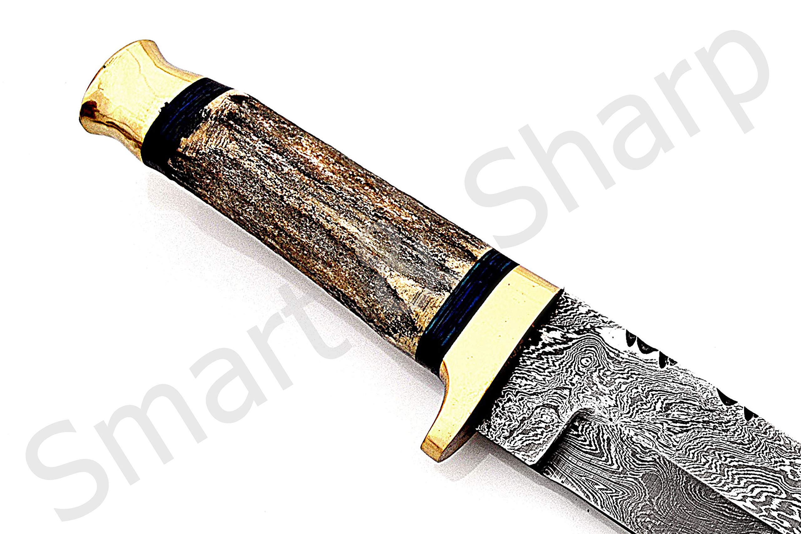 Smart & Sharp Custom Handmade Damascus Steel Hunting Knife/Tanto Knife/Skinning Knife AA-17255, 17256, 17257, 17258 and 17259 (Antique Stag and Blue Wood)