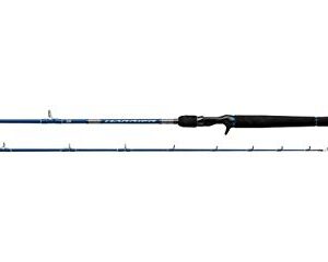 Fishing Rod Jigging Series Sections 1 Line Wt. 50-80 Braid