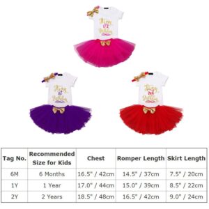 ODASDO It’s My 1st First Birthday Outfit Newborn Infant Baby One Year Party Cake Smash Set Princess Dress Cotton Short Sleeve Bodysuit Romper Tutu Skirt Sequin Bowknot Headband 3pcs Purple 1st 1T