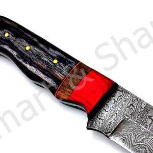 Smart & Sharp Custom Handmade Damascus Steel Hunting Knife/Skinning Knife AA-17284 (Black Wood)