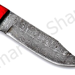 Smart & Sharp Custom Handmade Damascus Steel Hunting Knife/Skinning Knife AA-17284 (Black Wood)