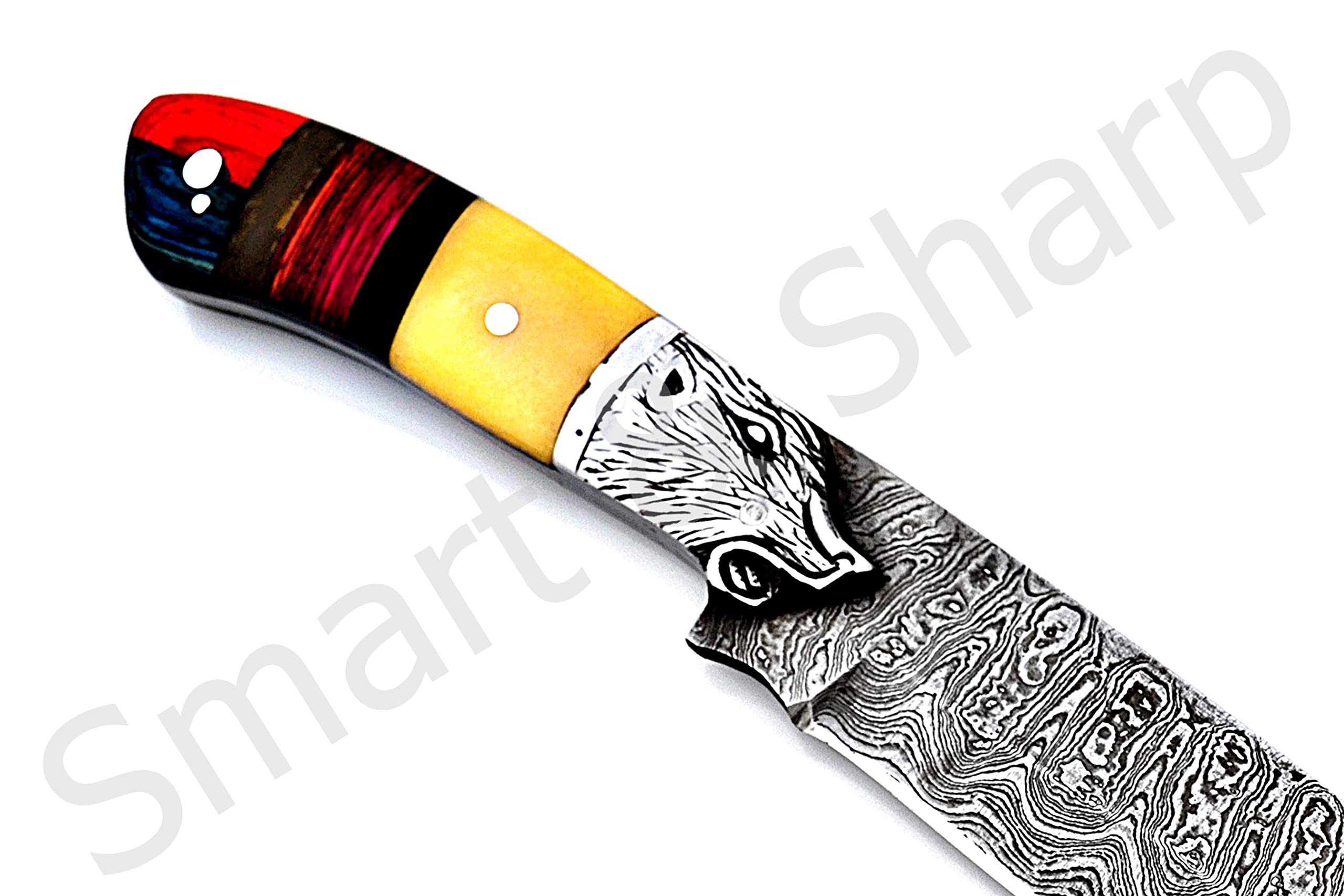 Smart & Sharp Custom Handmade Damascus Steel Hunting Knife/Skinning Knife AA-17287 (Natural Bone and Multi Color Wood)