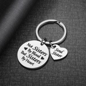 iWenSheng Friendship Gifts for Women Sister - Not Sister By Blood But Sisters By Heart Keychain, Birthday Gifts for Best Friend BFF Jewelry