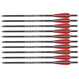 Carbon Crossbow Bolts 20 Inch Hunting Archery Arrows with 4" Vanes Replaced Arrowhead Tip (Pack of 12)