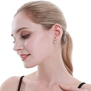 Surgical Steel Earrings Sterling Silver Earrings Stainless Studs for Most Ears 6 Pairs Round Clear Cubic Zirconia Earrings Multi Piercing Ears CZ Simulated Diamond Stud Earring Women Men Boys Girls…