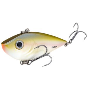 strike king (reyesdtt34-477) red eyed shad tungsten 2 tap fishing lure, 477 - the shizzle, 3/4 oz, tungsten sound chamber