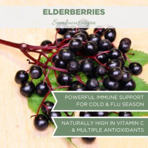 Organic Elderberries 1 lb. (16 oz), USDA Certified Organic Dried Elderberries Bulk, Elderberry Dried Organic, Dried Elderberry Berries Organic, Elder, Whole