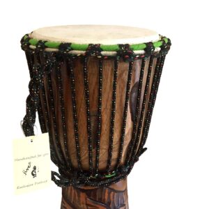 JIVE Djembe Drum African Bongo Congo Wood Drum Deep Carved Solid Mahogany Goat Skin Professional Quality 16" High (Turtle)