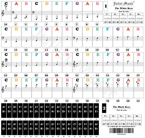 Bastien Piano Basics Primer Level Learning Set by Bastien - Lesson, Theory, Performance, Technique & Artistry Books & Juliet Music Piano Keys 88/61/54/49 Full Set Removable Sticker