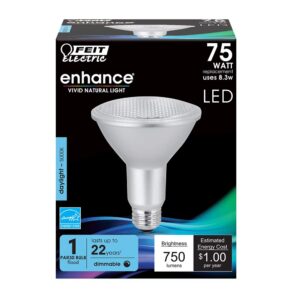 Feit Electric LED PAR30L Bulbs, 75W Equivalent, Dimmable, 5000K Daylight, 750 Lumens, 22 Year Lifetime, E26 Base, PAR30 Flood Lights, Spotlight Bulb,Weatherproof, 4 Bulbs, PAR30LDM/950CA/4