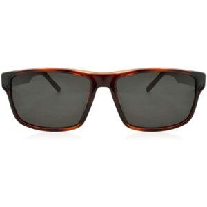 Ferragamo SF960S Unisex Sunglasses Tortoise, 58