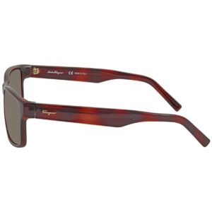 Ferragamo SF960S Unisex Sunglasses Tortoise, 58