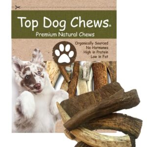 Top Dog Chews Premium Grade A Natural Shed Hard Moose Antler by The Pound. Variety Pack Brand! (1LB)