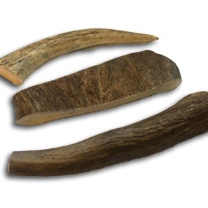 Top Dog Chews Premium Grade A Natural Shed Hard Moose Antler by The Pound. Variety Pack Brand! (1LB)