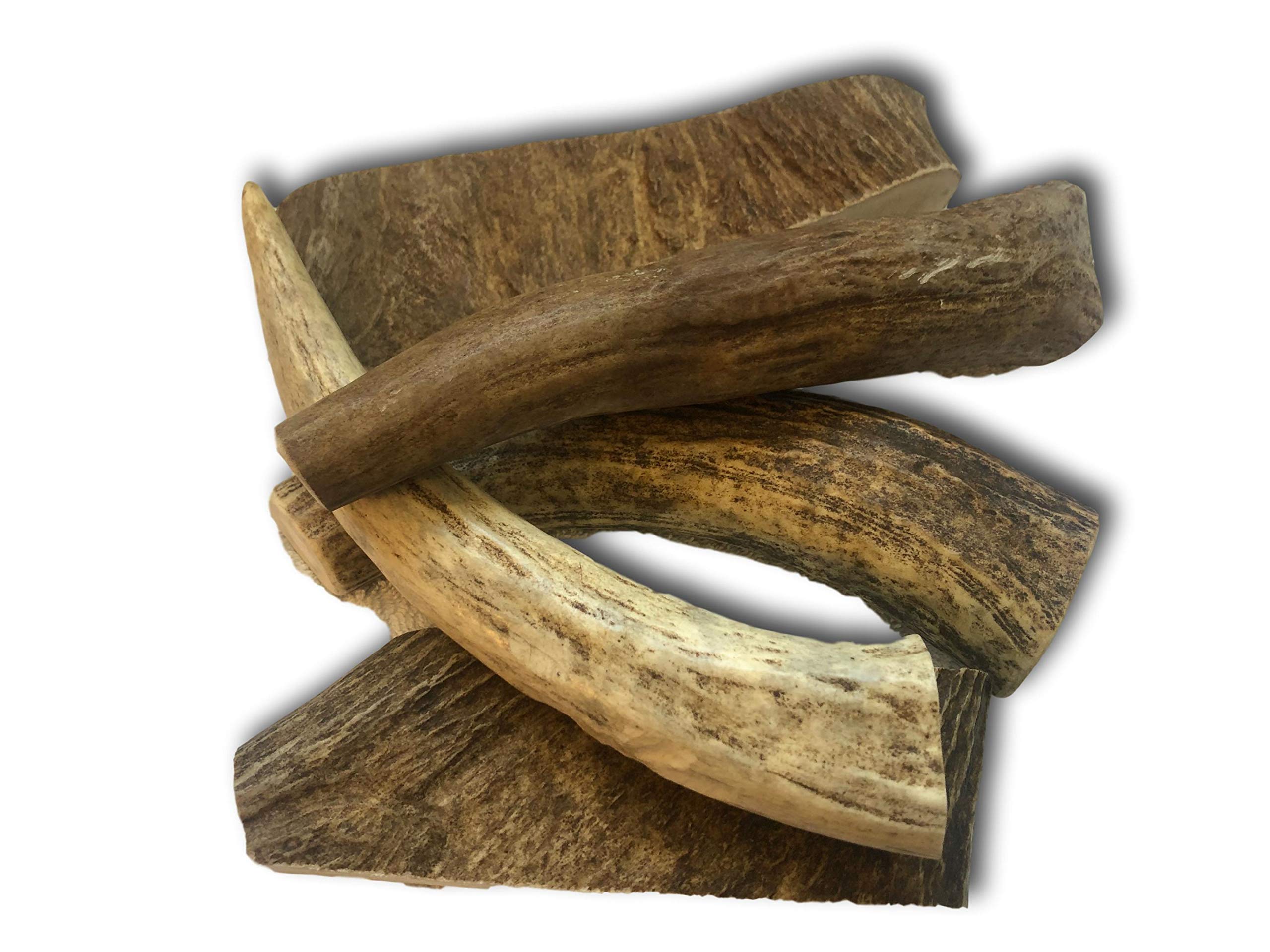 Top Dog Chews Premium Grade A Natural Shed Hard Moose Antler by The Pound. Variety Pack Brand! (1LB)