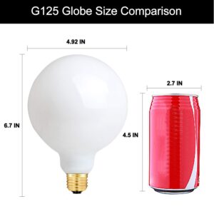 OMAYKEY 15W Dimmable Large LED Globe Bulb 100W Equivalent 1000 Lumens, 3000K Soft White E26 Medium Base, Vintage Edison G125 Large Globe Edison Style LED Filament Light Bulb, Deep Dimming Version