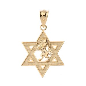 certified 14k yellow gold israel lion of judah magen david star hebrew pendant