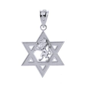 Polished 925 Sterling Silver Israel Lion of Judah Magen David Star Hebrew Pendant