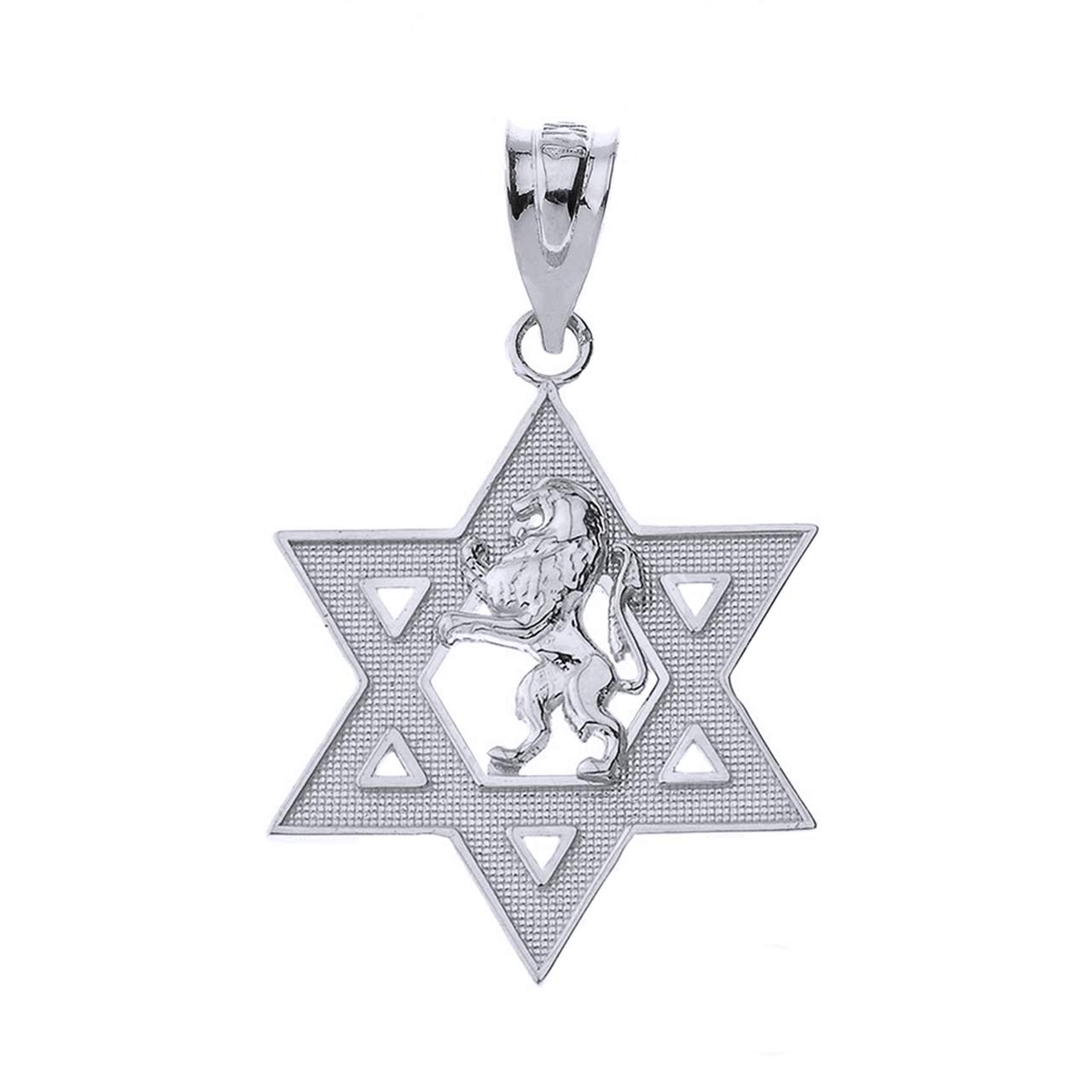 Polished 925 Sterling Silver Israel Lion of Judah Magen David Star Hebrew Pendant