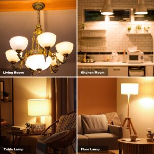 Vgogfly LED Bulb 3W 25 Watt Equivalent Light Bulbs Night Stand Bulb Table Lamp Bulb Warm White 2700K LED Energy Saving E26 Medium Screw Base for Home Light Bulb 4 Pack