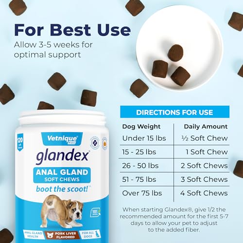 Glandex Anal Gland Soft Chew Treats with Pumpkin for Dogs Digestive Enzymes, Probiotics Fiber Supplement for Dogs Boot The Scoot (Pork Liver Chews, 120ct)