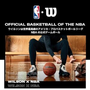 Wilson Evolution Official Size Game Basketball