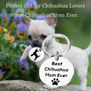 Lywjyb Birdgot Chihuahua Mom (Chihuahua Mom)