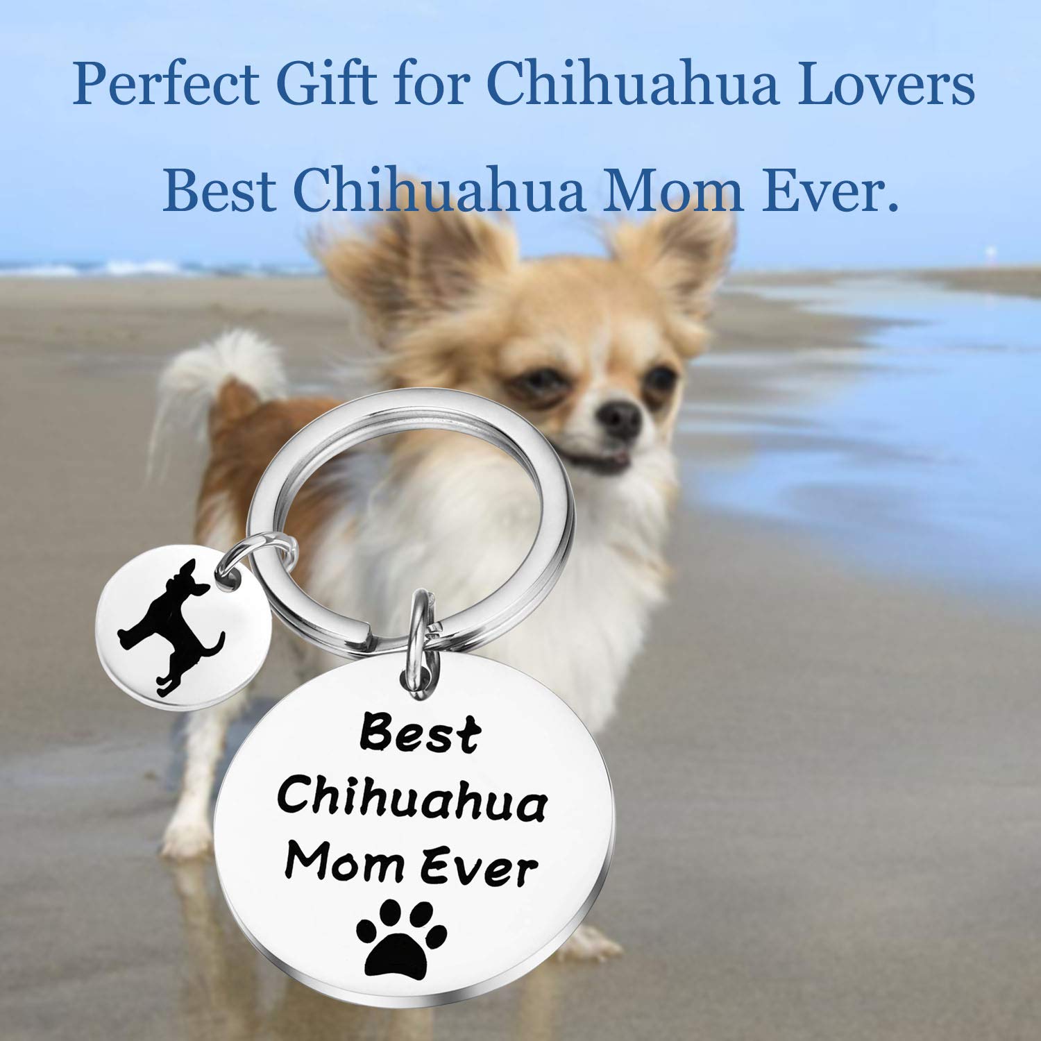 Lywjyb Birdgot Chihuahua Mom (Chihuahua Mom)