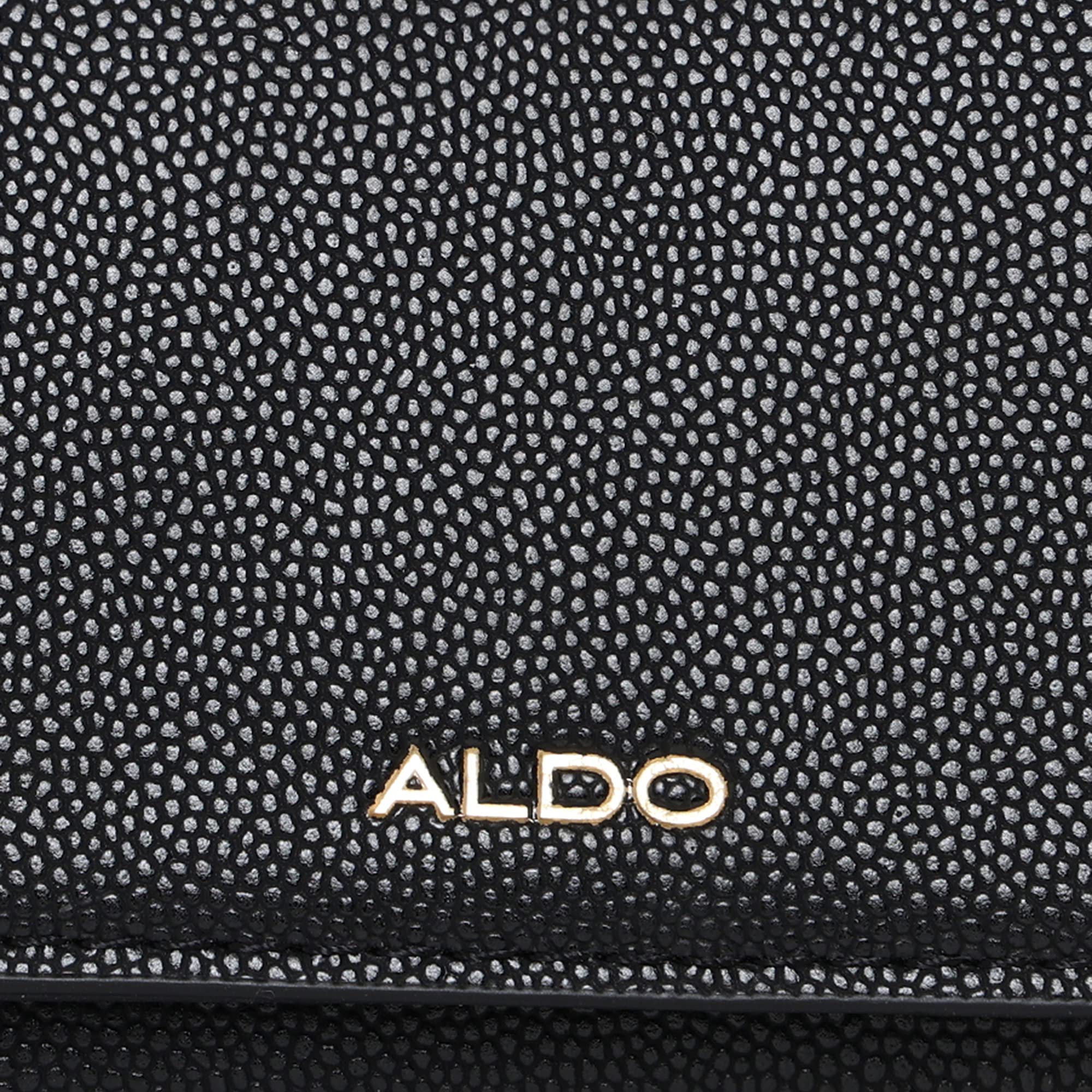 ALDO Women's Pietrarubbia Wallet, Black