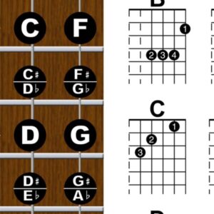 A New Song Music Laminated Guitar Chord & Fretboard Note Chart Instructional Easy Poster for Beginners Chords & Notes 11"x17"