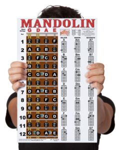 laminated mandolin fretboard notes & easy beginner chord chart 11"x17" instructional poster by a new song music