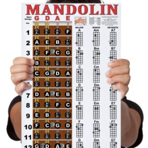 Laminated Mandolin Fretboard Notes & Easy Beginner Chord Chart 11"x17" Instructional Poster by A New Song Music